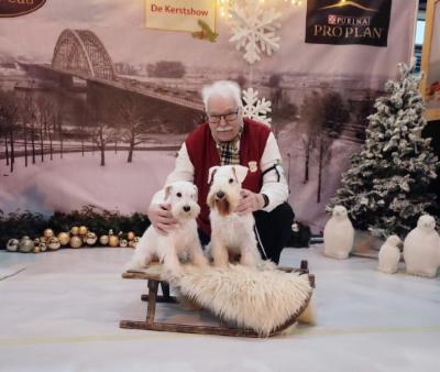 Holland auf der Kerstschau