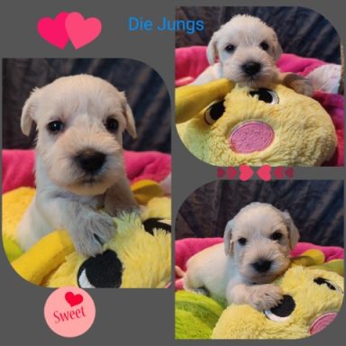 09.11.2024 - Die Jungs
